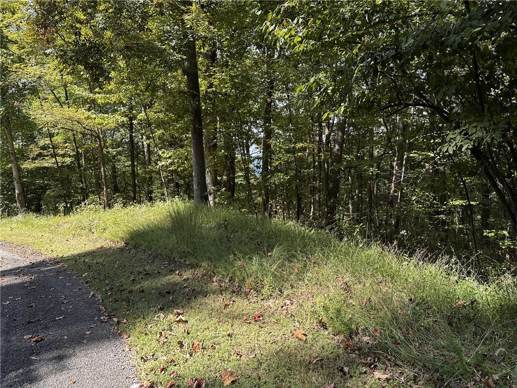 7 R Mountain Falls Loop Ellijay, GA 30536 - Photo 17 of 18 Gallery Image 17