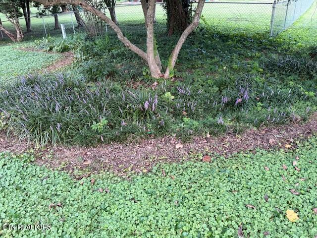 1169 Topside Road Louisville, TN 37777 - Photo 15 of 21 IMG_7314