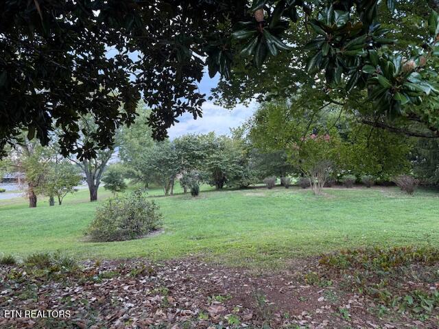 1169 Topside Road Louisville, TN 37777 - Photo 20 of 21 IMG_7308