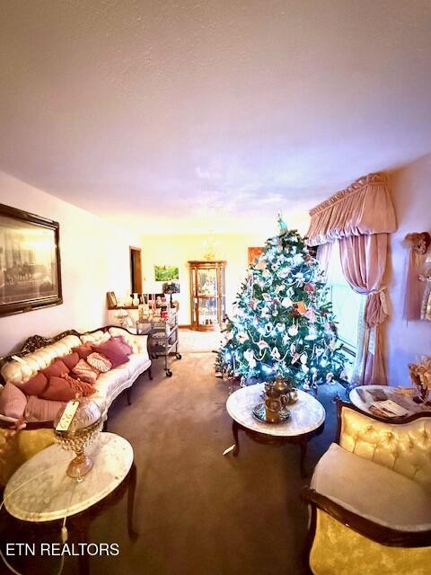 1169 Topside Road Louisville, TN 37777 - Photo 8 of 21 IMG_7330