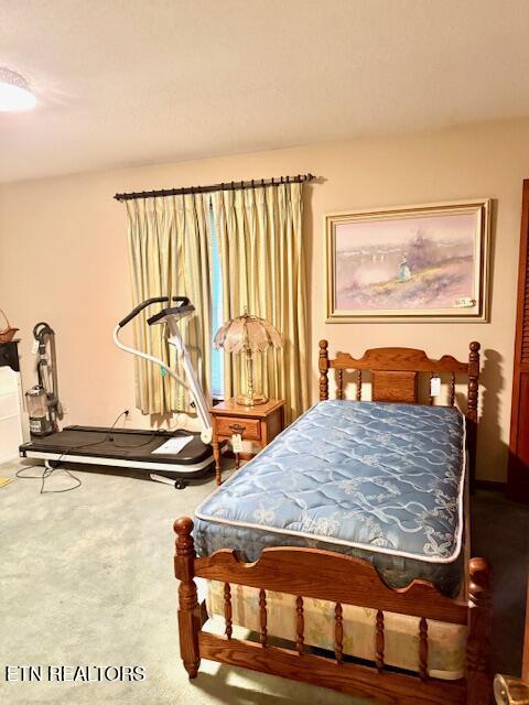 1169 Topside Road Louisville, TN 37777 - Photo 10 of 21 IMG_7335