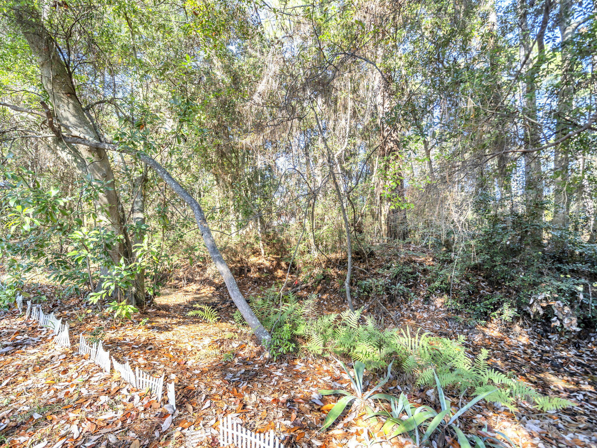 9028 Larker Woods Road Navarre, FL 32566 - Photo 36 of 36 a view of a yard with a tree