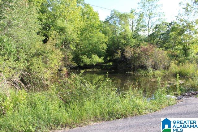 1 Benefield Gap Road Attalla, AL 35954 - Photo 44 of 50