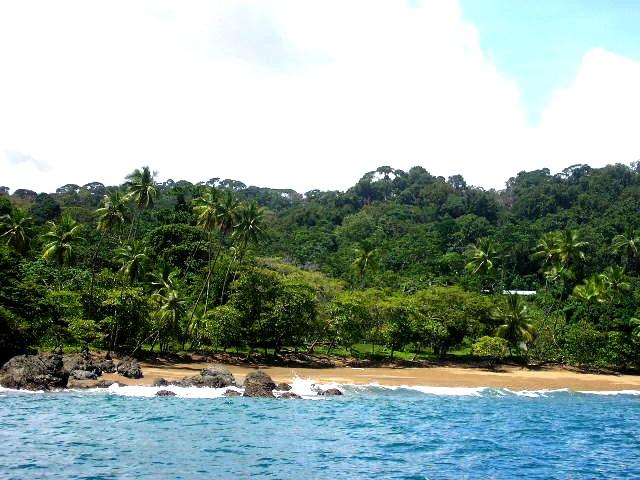 0 Drake Bay Costa Rica Cary, NC 27513 - Photo 2 of 4 an aerial view of a yard