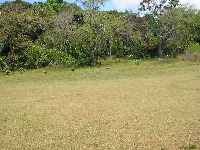 0 Drake Bay Costa Rica Cary, NC 27513 - Photo 3 of 4 a view of a outdoor space