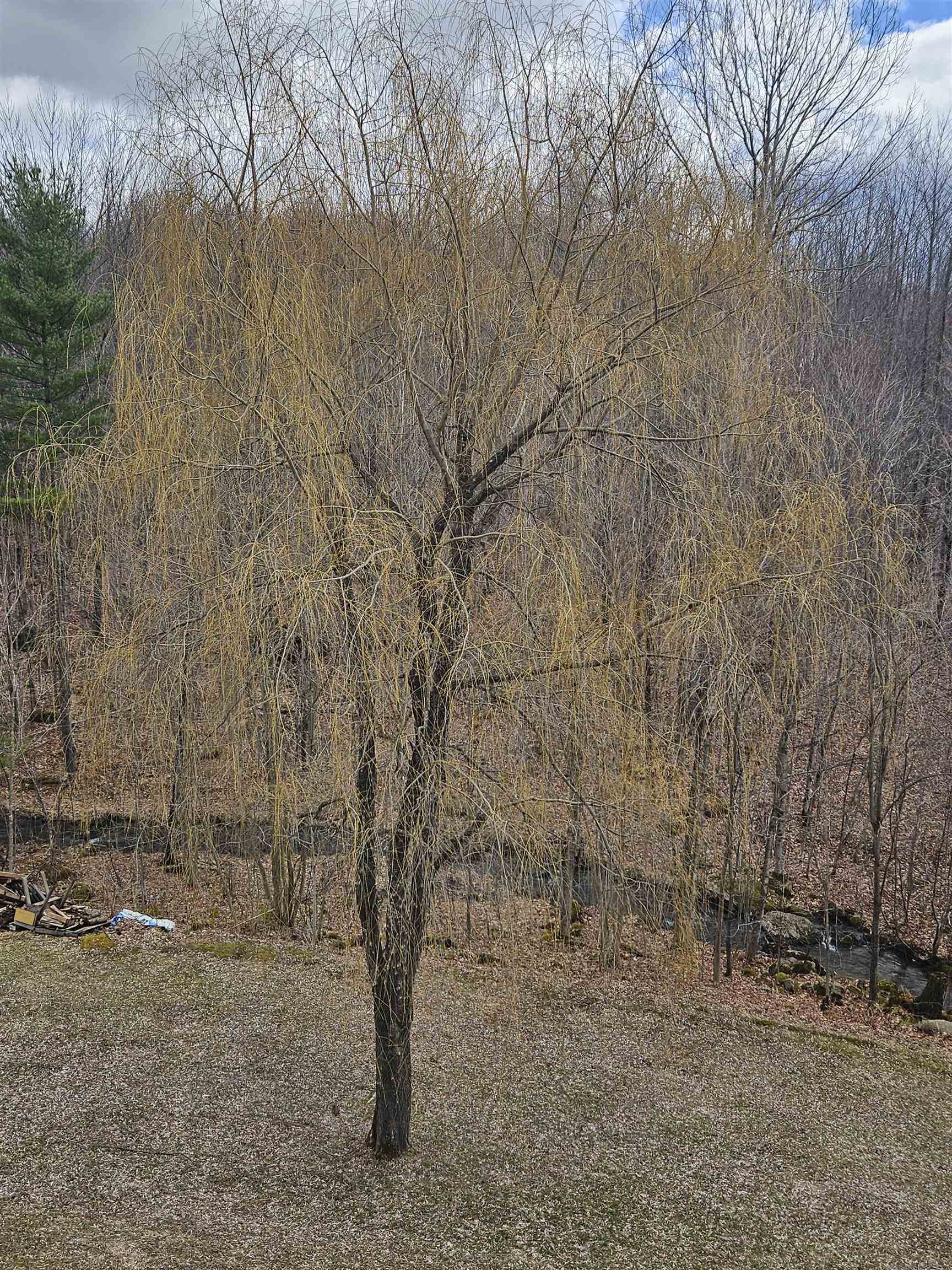 5 Ted Road Milton, VT 05468 - Photo 40 of 42