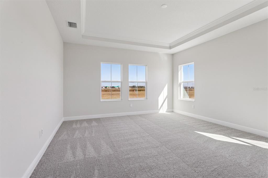 10743 Spring Sapling Circle Palmetto, FL 34221 - Photo 5 of 36