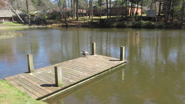 6808 Raintree Drive Columbus, GA 31909 - Photo 34 of 42 Gallery Image 34
