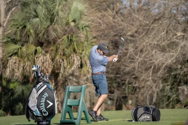 a view of a yard with trees