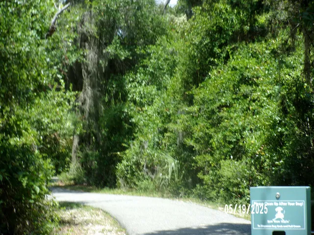 a view of a road with a trees