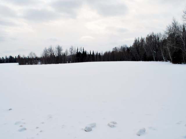 On Keith Siding Road Crandon, WI 54520 - Photo 4 of 7 Gallery Image 4
