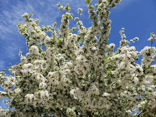 $1,699,900 | 18434 Bearpath Trail, Eden Prairie, MN 55347