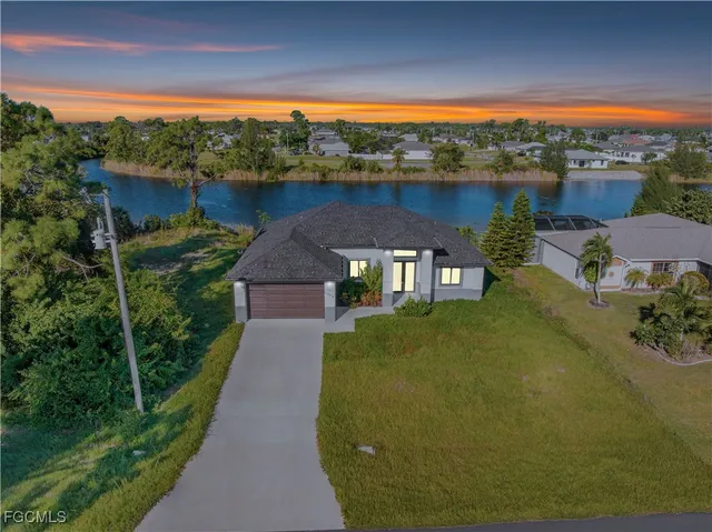 a view of a garden with plants and large tree