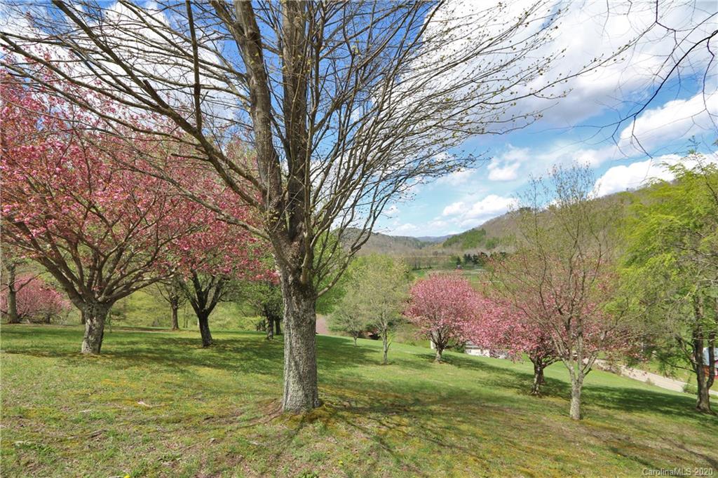 232-234 Maple Spring Road Banner Elk, NC 28604 - Photo 8 of 48 Gallery Image 8