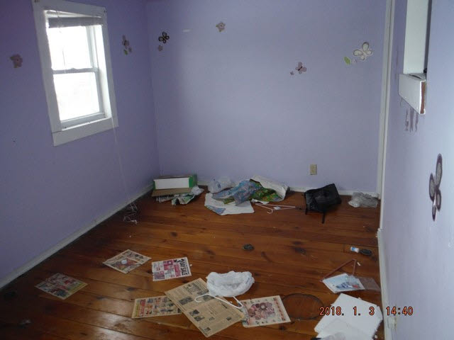 11053 Fergus Road St. Charles, MI 48655 - Photo 6 of 14