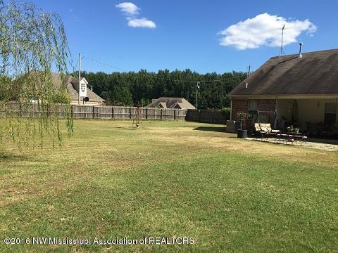 145 Dry Field Road Byhalia, MS 38611 - Photo 5 of 18 backyar