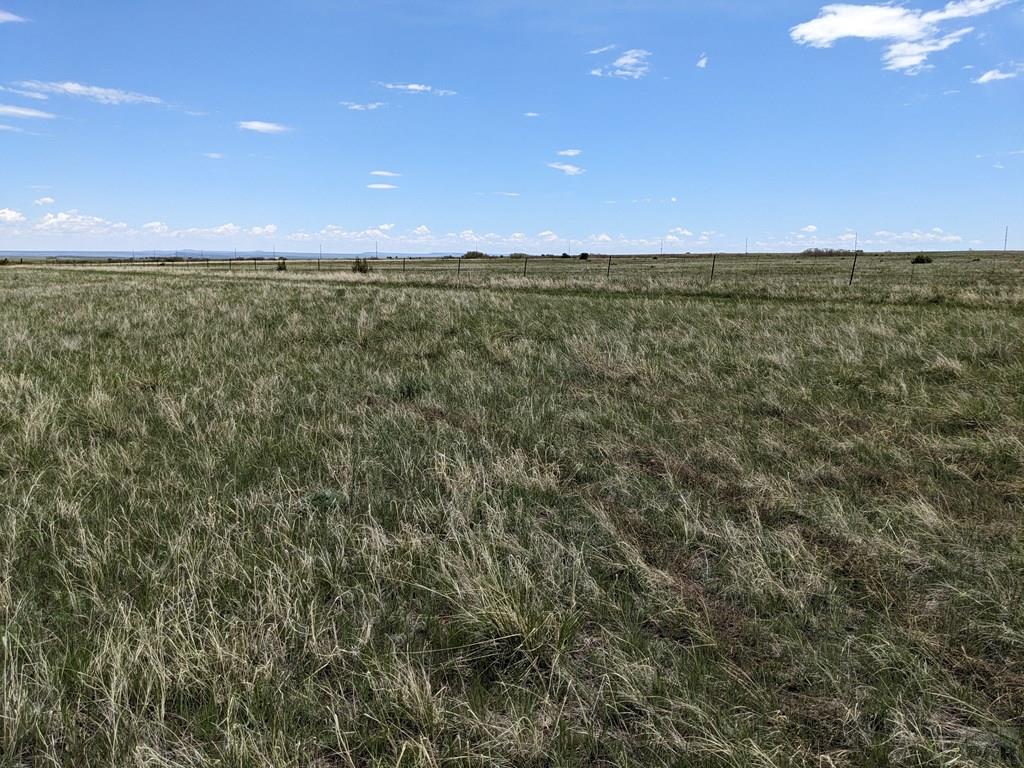 Tbd Honeywell Drive Rye, CO 81069 - Photo 7 of 16
