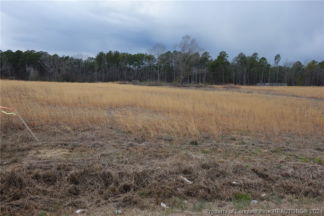 3 Odum Road Lumberton, NC 28360 - Photo 1 of 3 Gallery Image 1