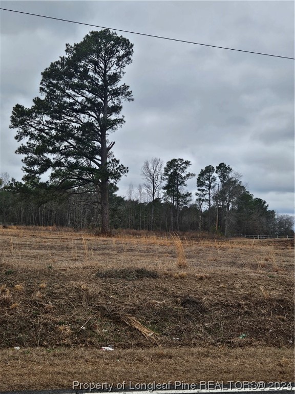 3 Odum Road Lumberton, NC 28360 - Photo 2 of 3 Gallery Image 2