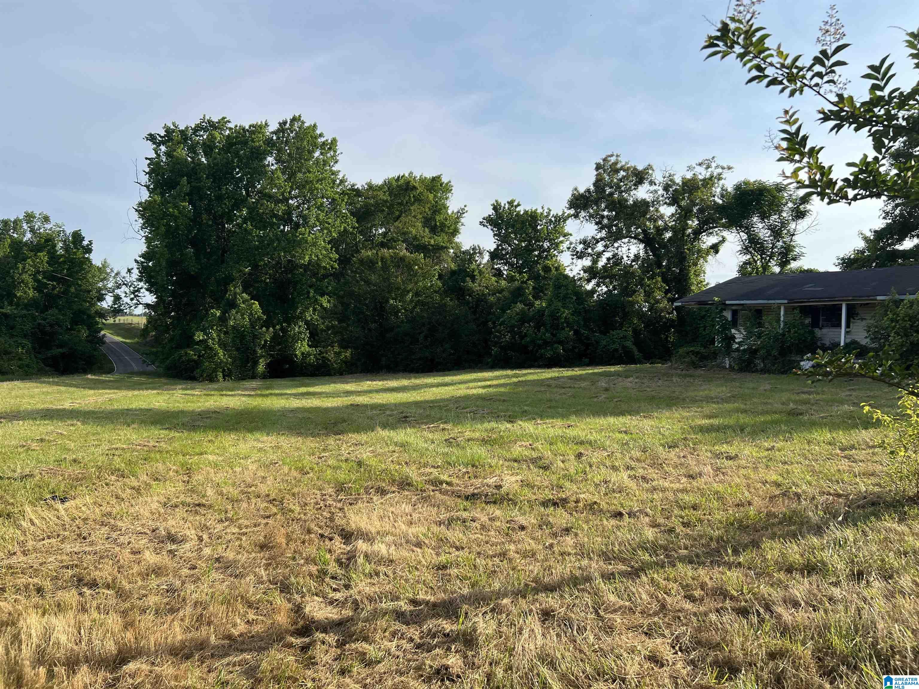 0 County Road 37 Clanton, AL 35045 - Photo 3 of 5