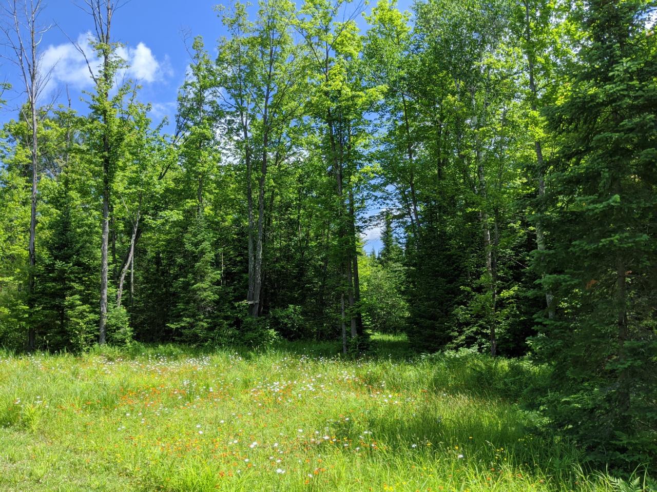 W5582 West Hackett Road Phillips, WI 54555 - Photo 27 of 36 Gallery Image 27
