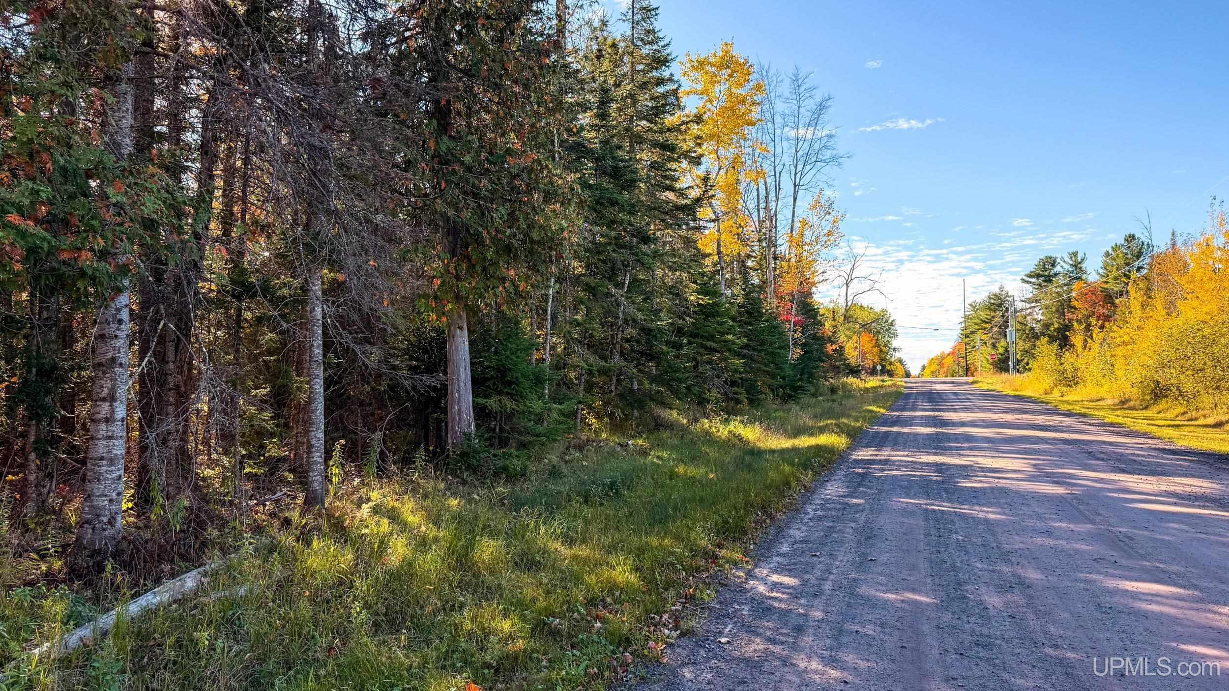 Tbd A Payne Road Pelkie, MI 49908 - Photo 45 of 46 Gallery Image 45