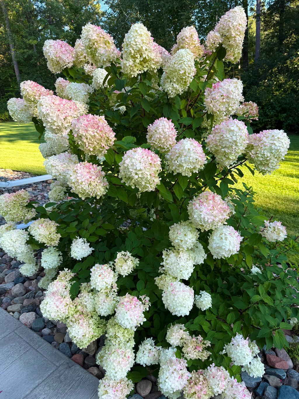 6790 South Cullen Loop Pequot Lakes, MN 56472 - Photo 25 of 54