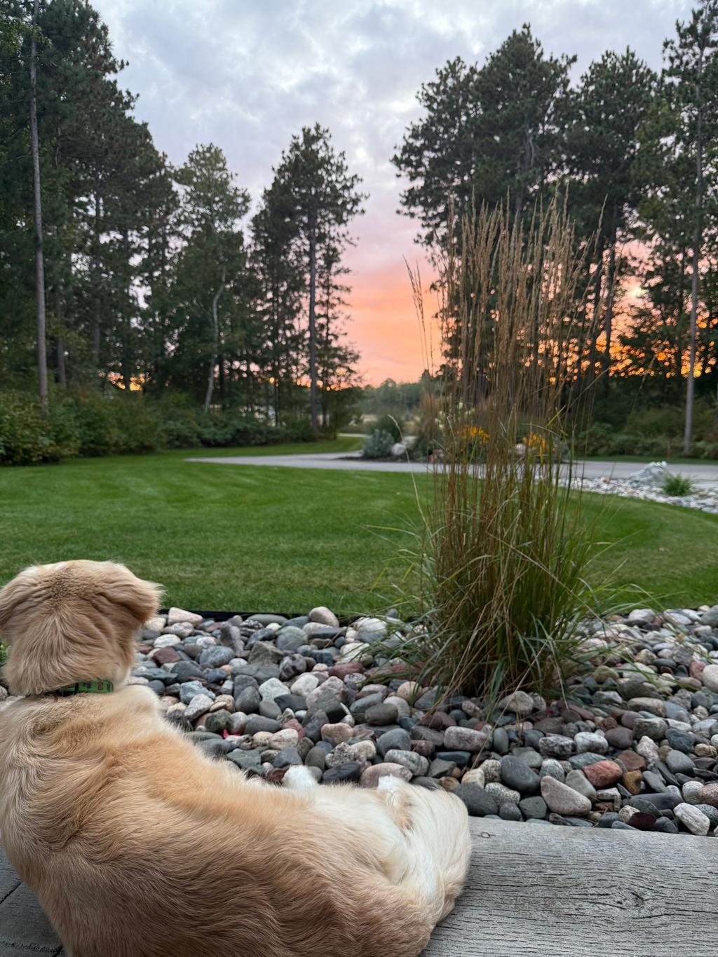 6790 South Cullen Loop Pequot Lakes, MN 56472 - Photo 50 of 54