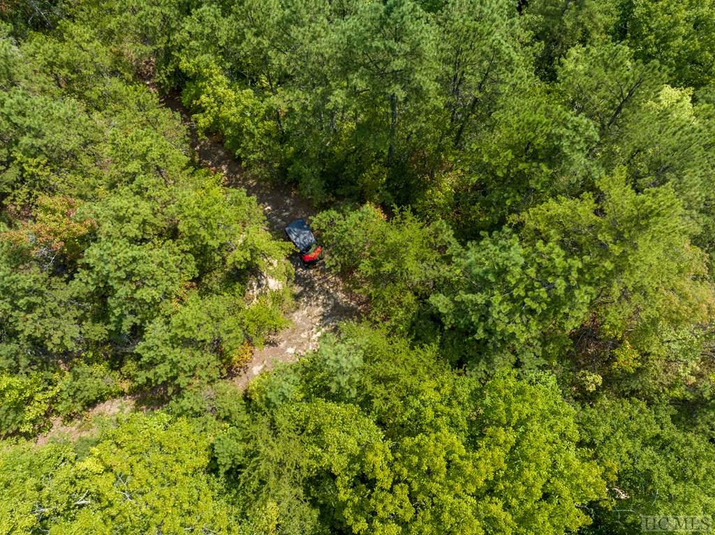 Tbd Firefly Road Whittier, NC 28789 - Photo 7 of 12 Gallery Image 7