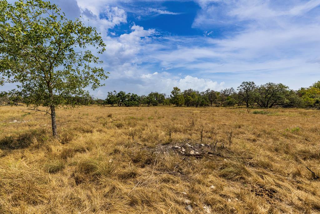 515 Lange Road Harper, TX 78631 - Photo 32 of 38 Gallery Image 32