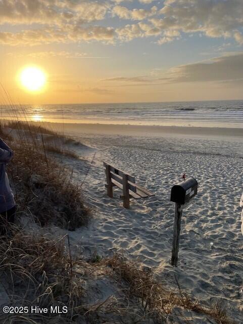 458 Ladyfish Loop Northwest, Unit LOT 59 LOOKOUT Sunset Beach, NC 28468 - Photo 16 of 19 Kindred Spirit mailbox
