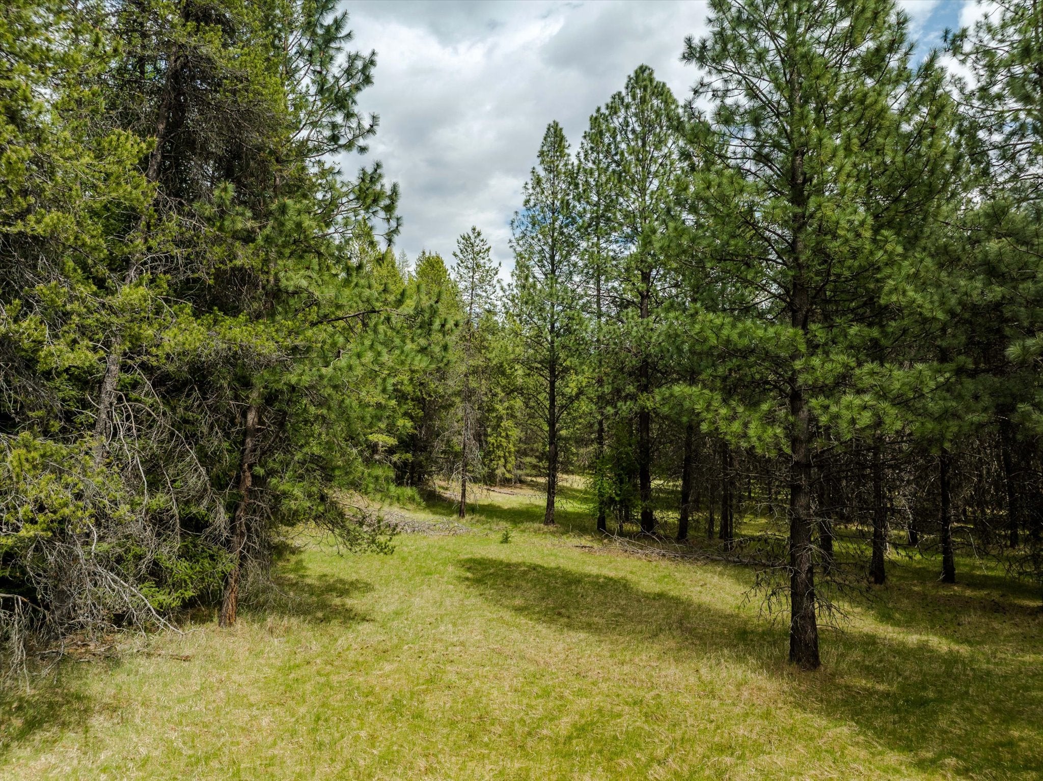 70 Hines Road Troy, MT 59935 - Photo 26 of 35 Gallery Image 26