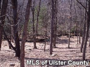 3991 Atwood Road, Unit SELLER SAYS MAKE OFFER Stone Ridge, NY 12484 - Photo 3 of 4 Photo 4