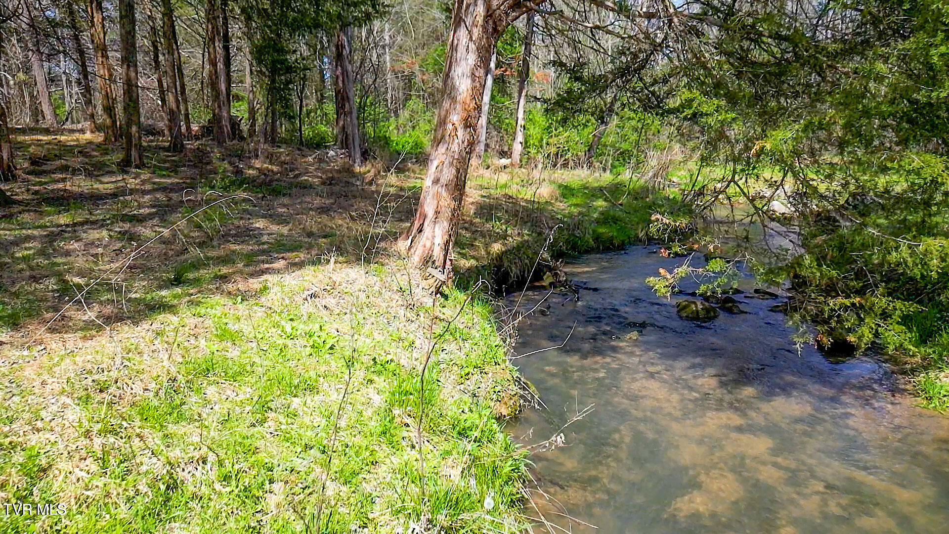 Tbd Stone Dam Road, Unit 2 Chuckey, TN 37641 - Photo 13 of 32 JK-13