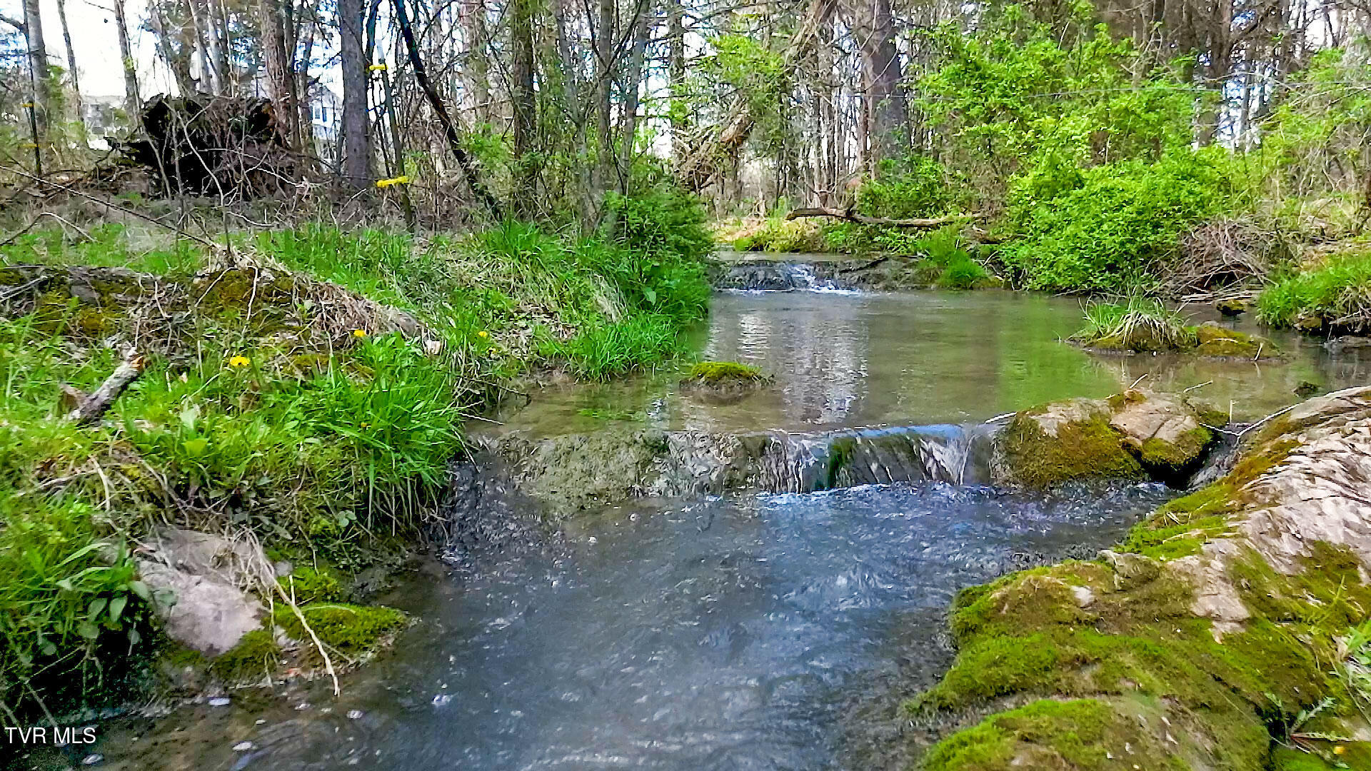 Tbd Stone Dam Road, Unit 2 Chuckey, TN 37641 - Photo 19 of 32 JK-20