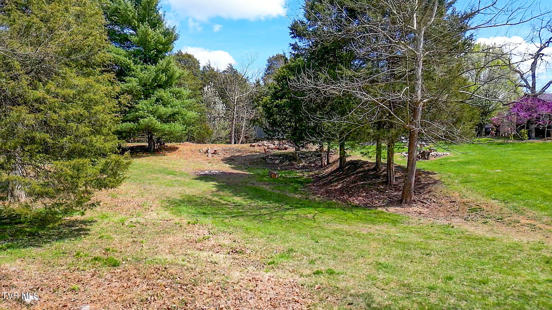 Tbd Stone Dam Road, Unit 2 Chuckey, TN 37641 - Photo 8 of 32 JK-8