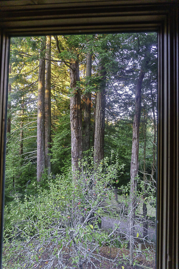7725 Torgersen Road Eureka, CA 95503 - Photo 31 of 78 View from primary bedroom. From seller's photography collection of home.