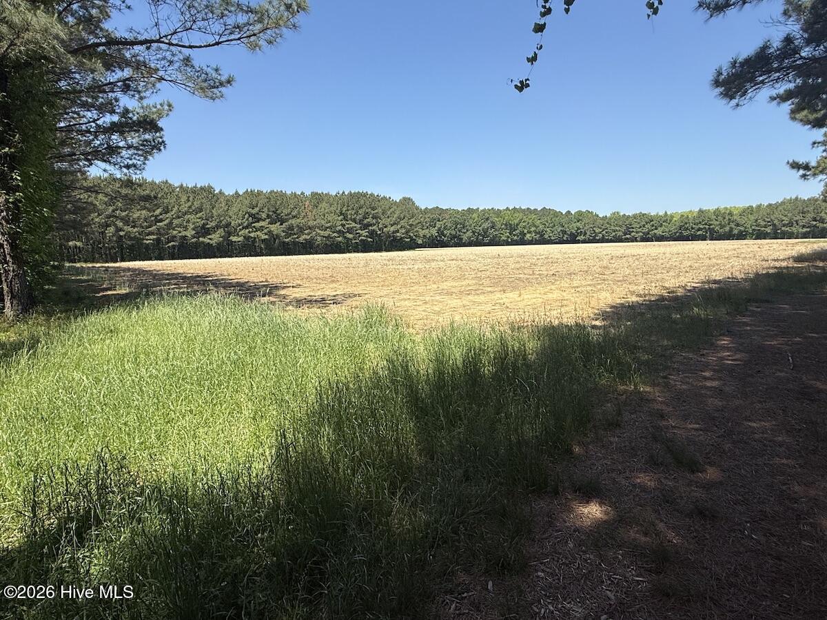 0 Kirkman Road Robersonville, NC 27871 - Photo 13 of 31 19
