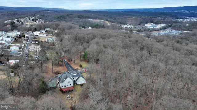 a view of a forest with trees