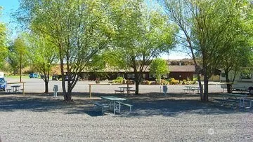 a view of street with trees