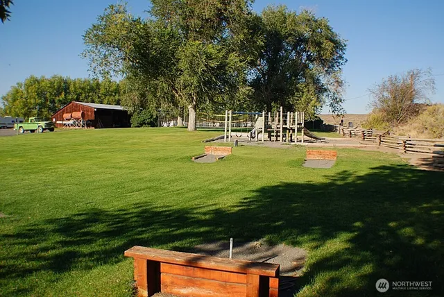 a view of a park with large trees