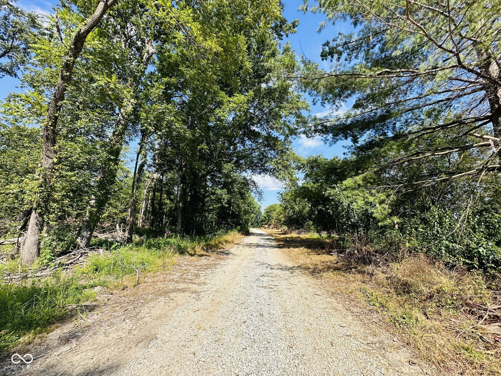 Tract A West Private Rd 775 South Commiskey, IN 47227 - Photo 6 of 9 Gallery Image 6