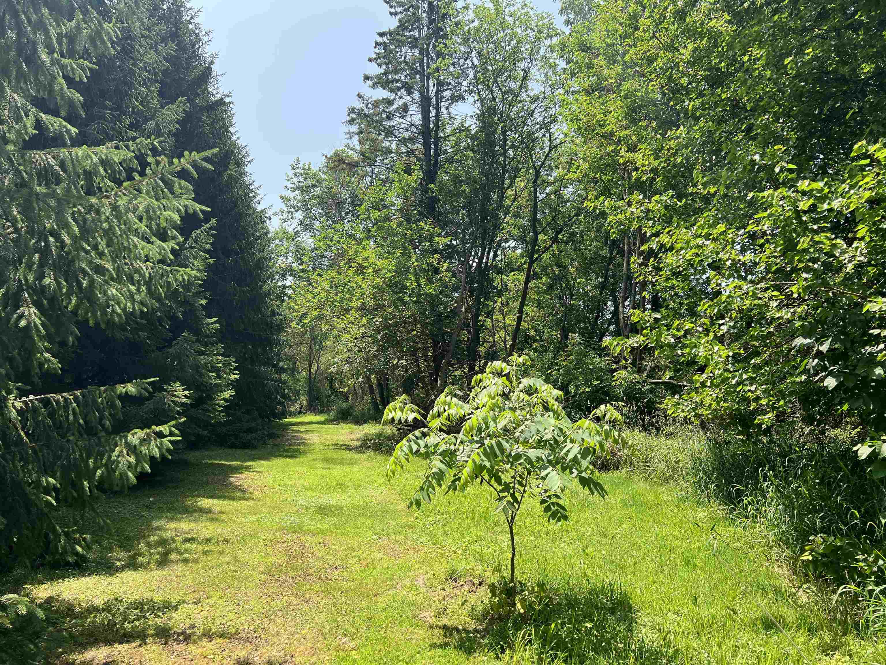 Tbd Us Route 20 Elizabeth, IL 61028 - Photo 1 of 8 a view of a garden with plants