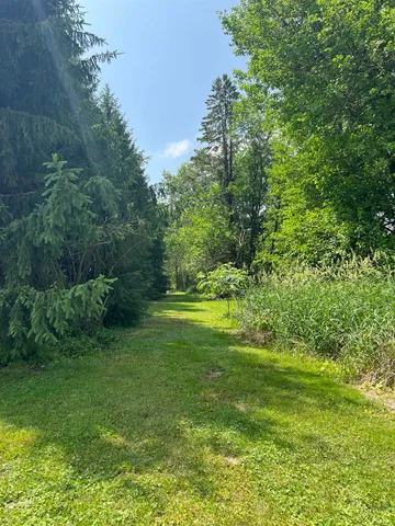 a view of a grassy field with trees in the background