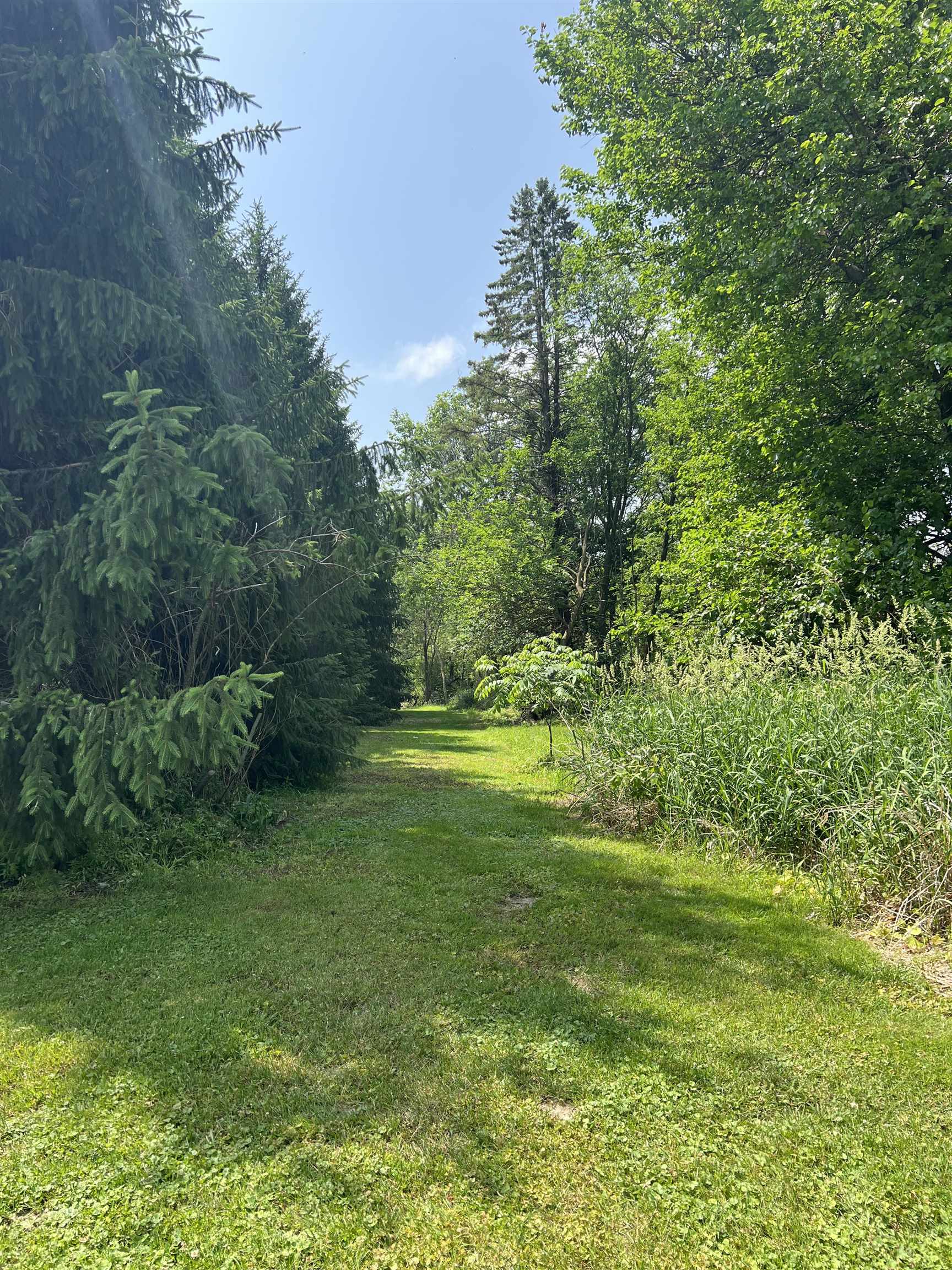 Tbd Us Route 20 Elizabeth, IL 61028 - Photo 3 of 8 a view of a grassy field with trees in the background