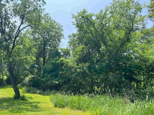 a view of backyard with green space