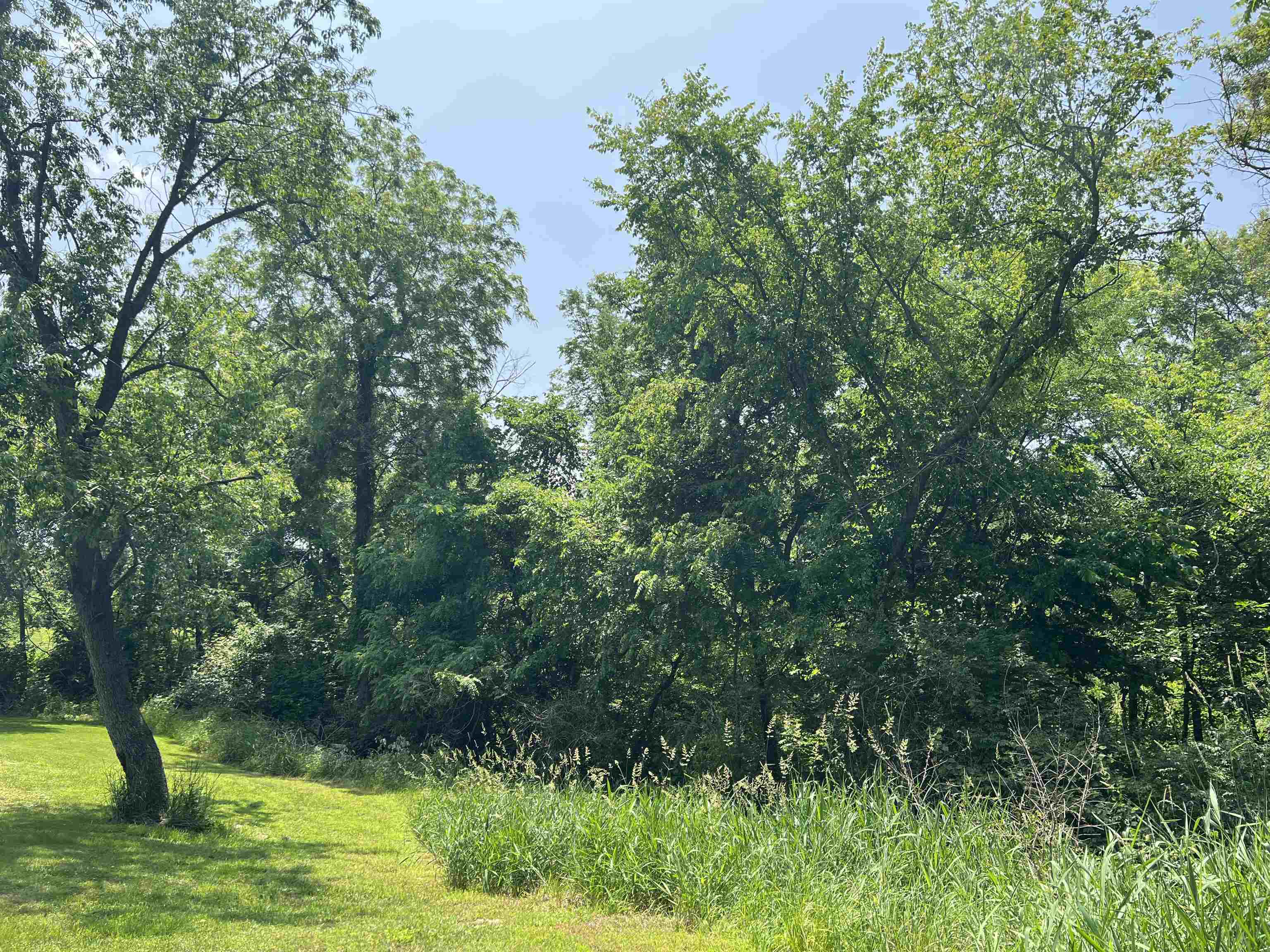 Tbd Us Route 20 Elizabeth, IL 61028 - Photo 6 of 8 a view of backyard with green space