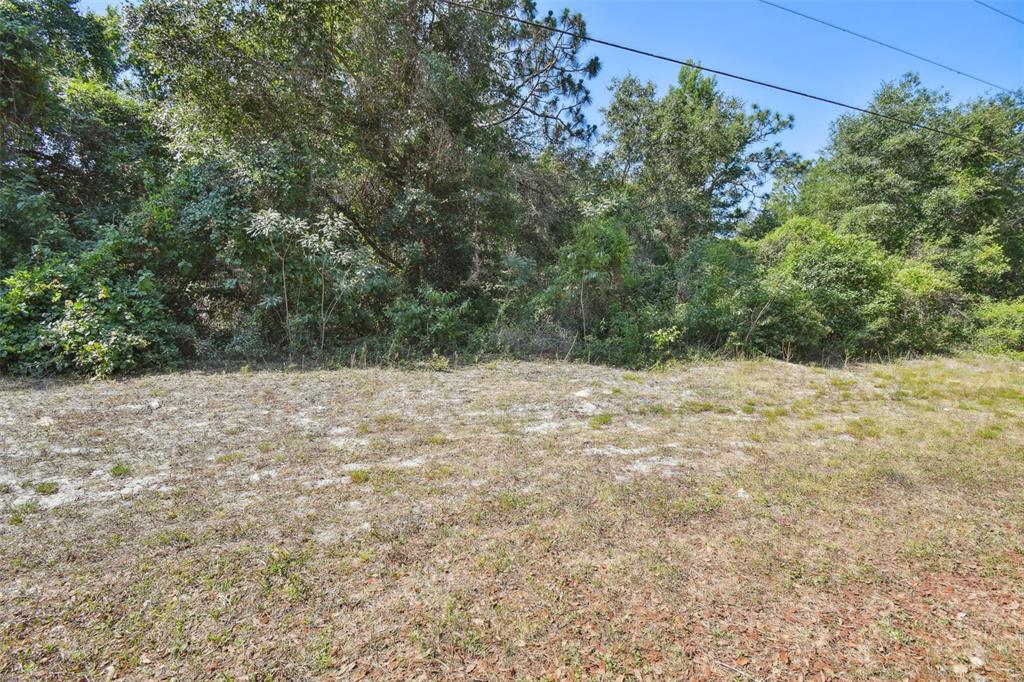 Dion Avenue New Port Richey, FL 34654 - Photo 1 of 1 Gallery Image 1