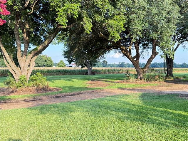 242 Vick Road Effie, LA 71331 - Photo 29 of 37