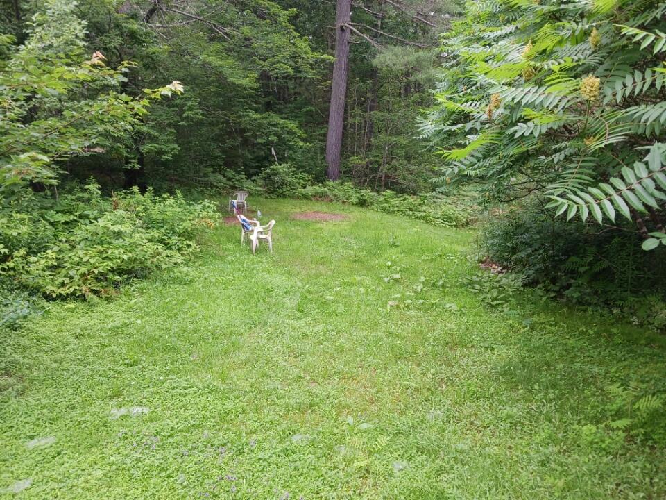 542 Ridge Road Chesterville, ME 04938 - Photo 31 of 32 Side yard North a